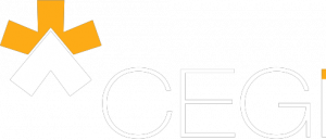CEGi intranet service for our clients - logotipoa